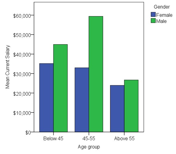 An image of the SPSS Clustered Bar Chart