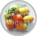 Fresh tomatoes on a plate image within a circle shape